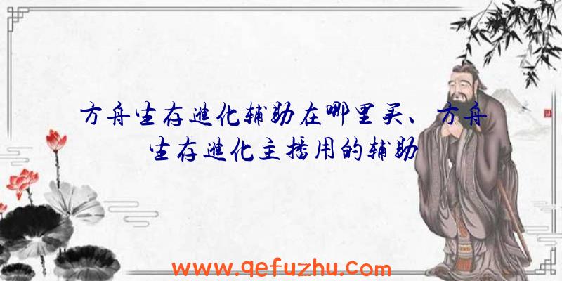 方舟生存进化辅助在哪里买、方舟生存进化主播用的辅助