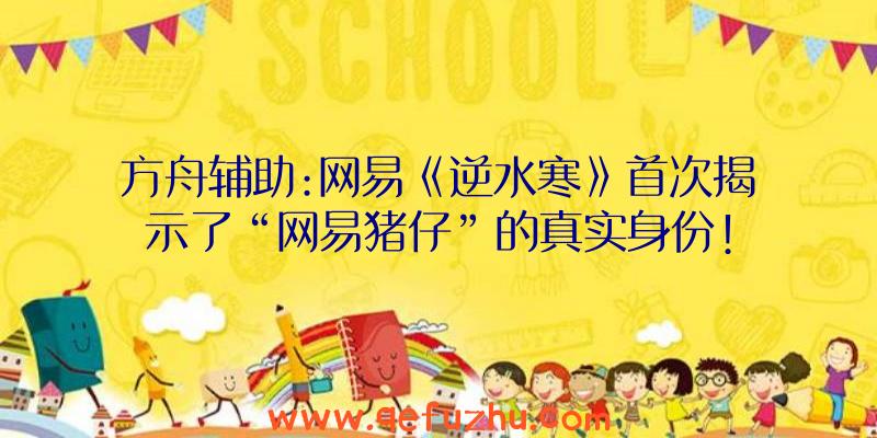 方舟辅助:网易《逆水寒》首次揭示了“网易猪仔”的真实身份!