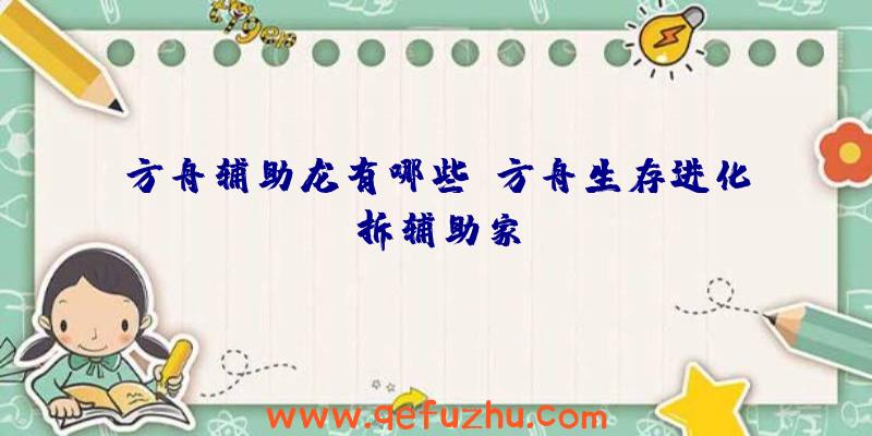 方舟辅助龙有哪些、方舟生存进化拆辅助家