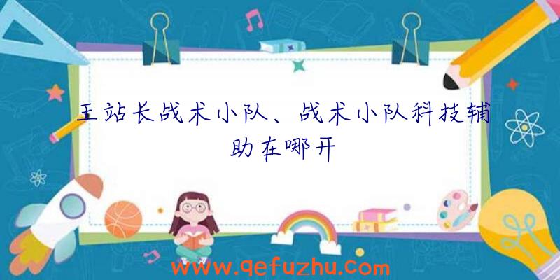 王站长战术小队、战术小队科技辅助在哪开