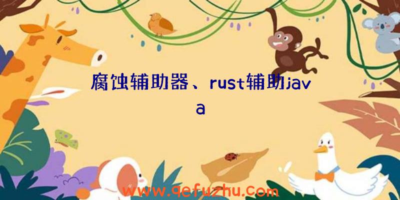 腐蚀辅助器、rust辅助java