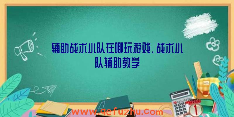 辅助战术小队在哪玩游戏、战术小队辅助教学