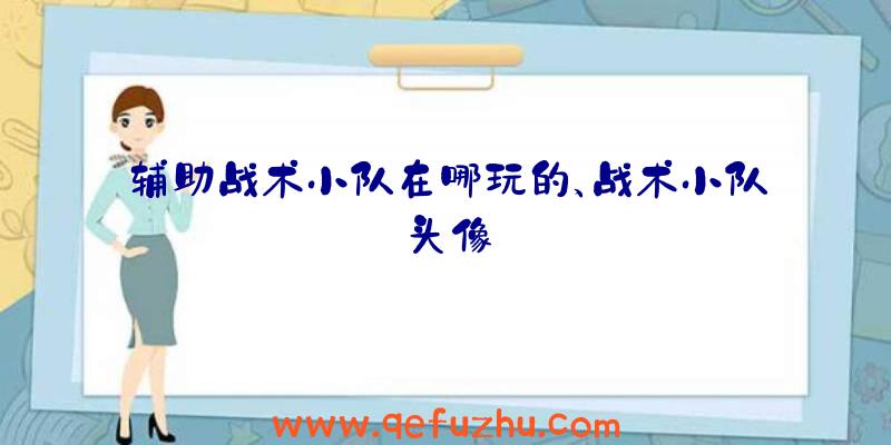 辅助战术小队在哪玩的、战术小队头像