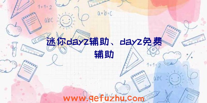 迷你dayz辅助、dayz免费辅助