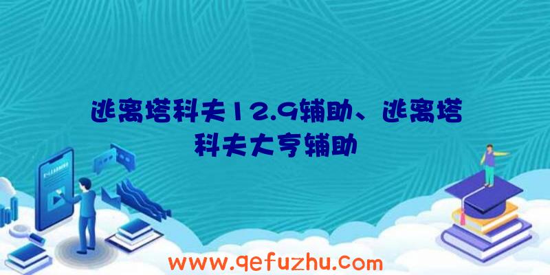 逃离塔科夫12.9辅助、逃离塔科夫大亨辅助