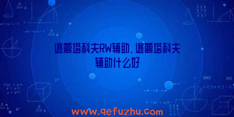 逃离塔科夫RW辅助、逃离塔科夫辅助什么好