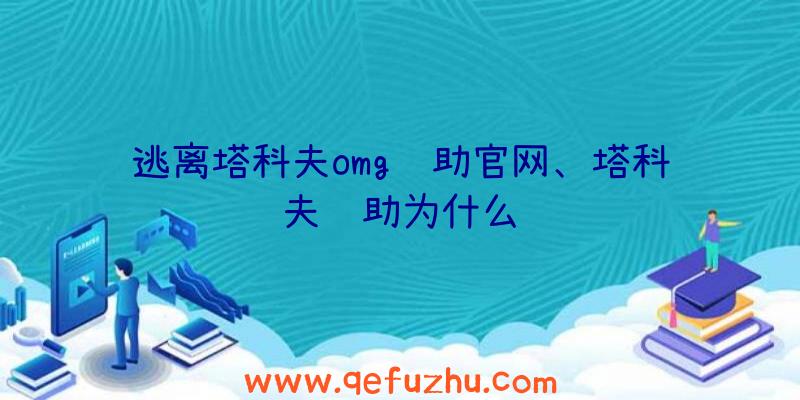 逃离塔科夫omg辅助官网、塔科夫辅助为什么贵