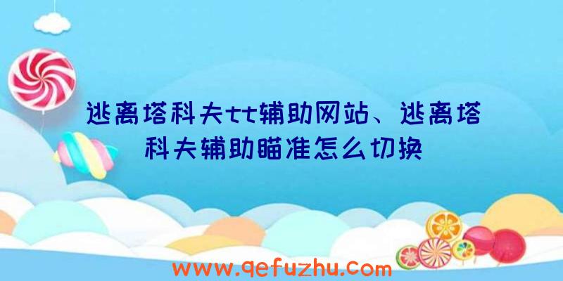 逃离塔科夫tt辅助网站、逃离塔科夫辅助瞄准怎么切换