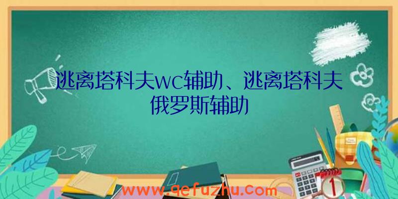 逃离塔科夫wc辅助、逃离塔科夫俄罗斯辅助