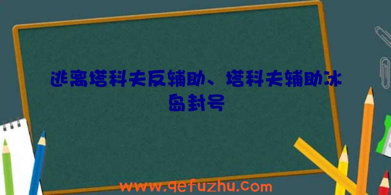 逃离塔科夫反辅助、塔科夫辅助冰岛封号