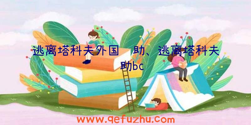 逃离塔科夫外国辅助、逃离塔科夫辅助bc