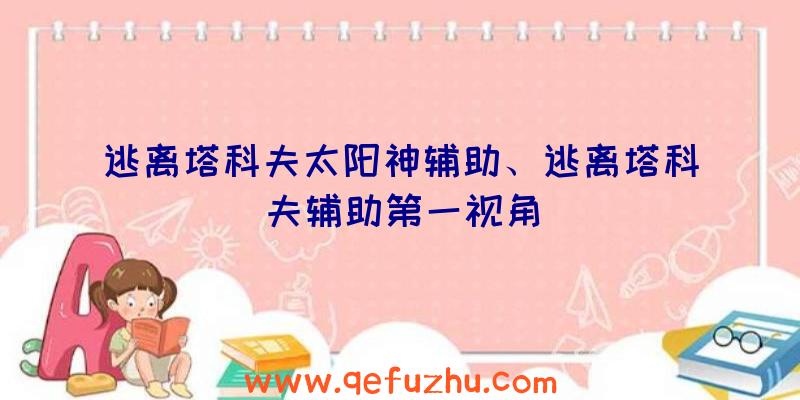 逃离塔科夫太阳神辅助、逃离塔科夫辅助第一视角