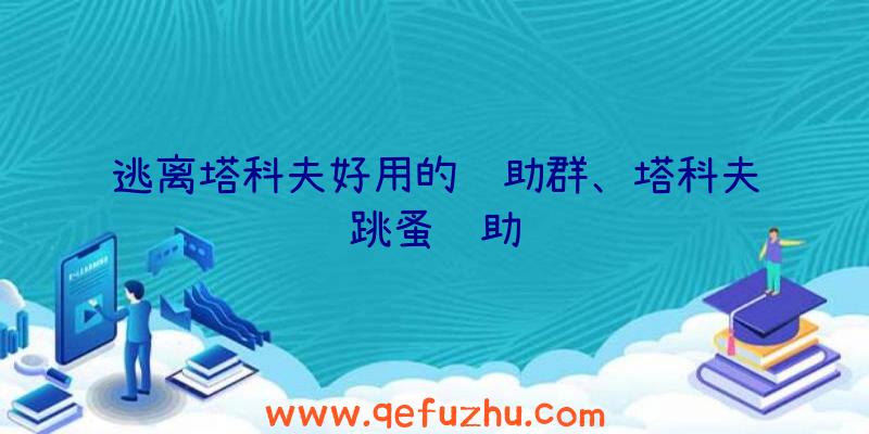 逃离塔科夫好用的辅助群、塔科夫跳蚤辅助