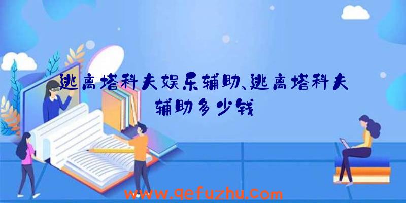 逃离塔科夫娱乐辅助、逃离塔科夫辅助多少钱