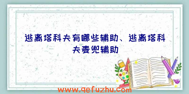 逃离塔科夫有哪些辅助、逃离塔科夫麦兜辅助