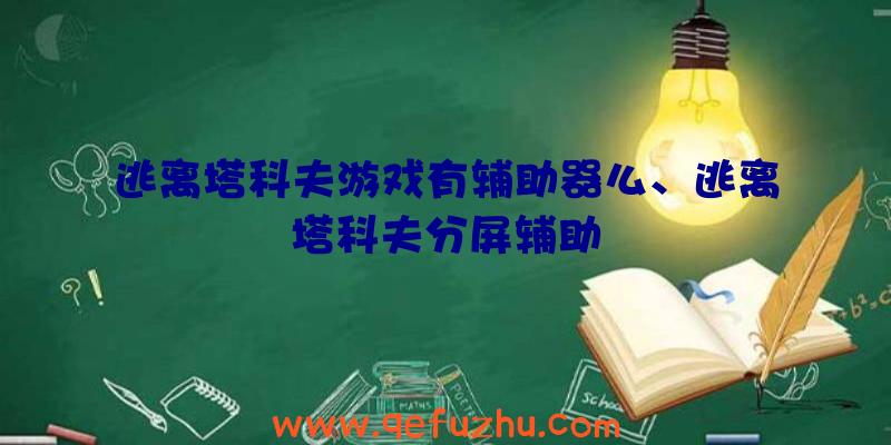 逃离塔科夫游戏有辅助器么、逃离塔科夫分屏辅助