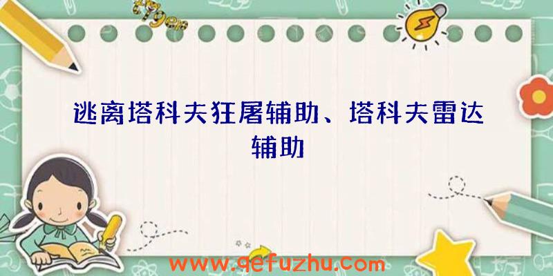 逃离塔科夫狂屠辅助、塔科夫雷达辅助