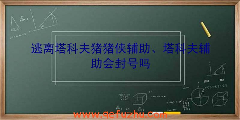 逃离塔科夫猪猪侠辅助、塔科夫辅助会封号吗