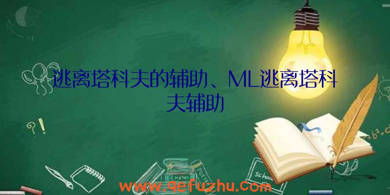 逃离塔科夫的辅助、ML逃离塔科夫辅助