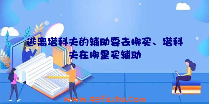 逃离塔科夫的辅助要去哪买、塔科夫在哪里买辅助