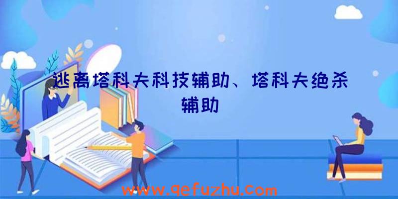 逃离塔科夫科技辅助、塔科夫绝杀辅助