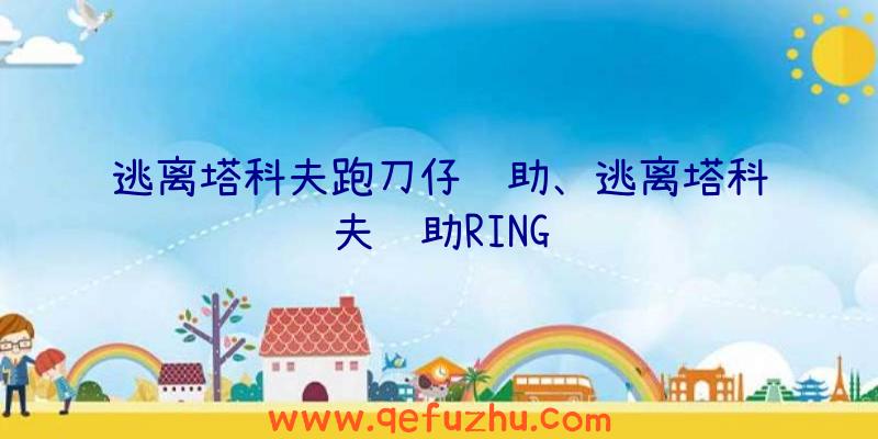 逃离塔科夫跑刀仔辅助、逃离塔科夫辅助RING