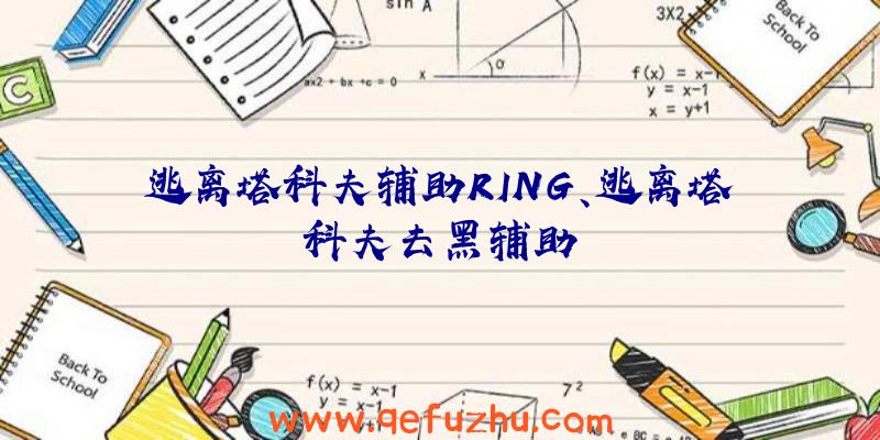 逃离塔科夫辅助RING、逃离塔科夫去黑辅助