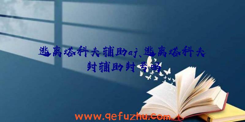 逃离塔科夫辅助aj、逃离塔科夫封辅助封号吗