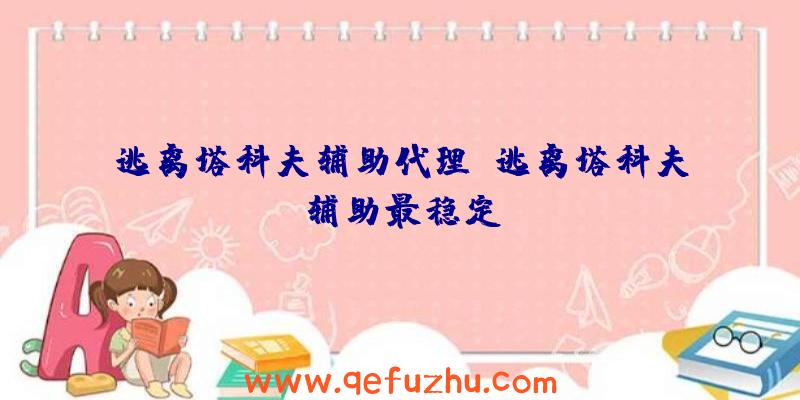 逃离塔科夫辅助代理、逃离塔科夫辅助最稳定