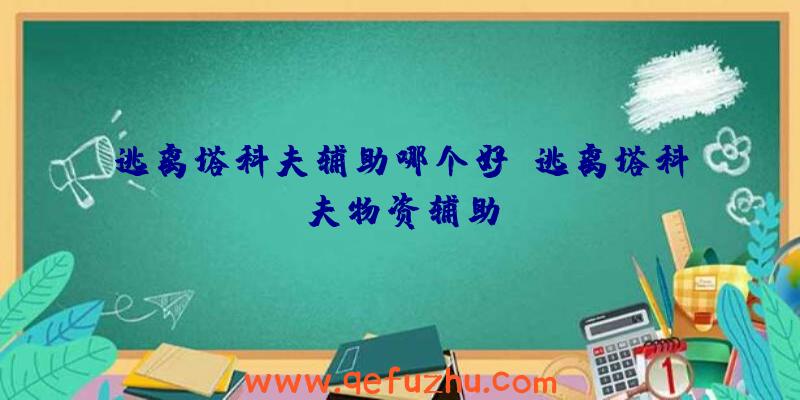 逃离塔科夫辅助哪个好、逃离塔科夫物资辅助