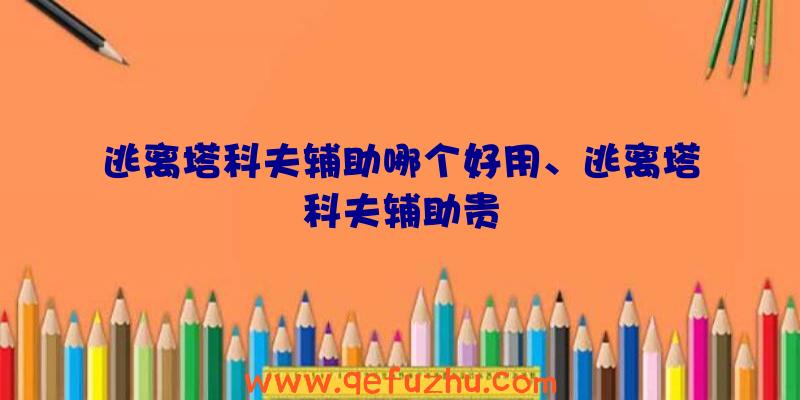 逃离塔科夫辅助哪个好用、逃离塔科夫辅助贵