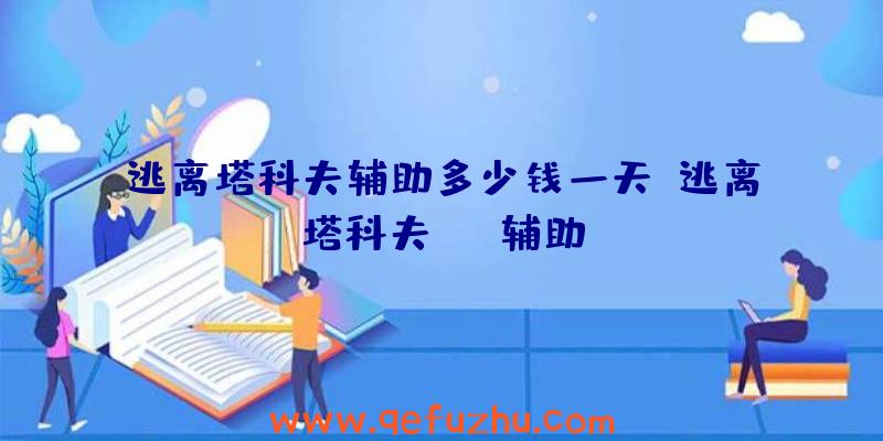 逃离塔科夫辅助多少钱一天、逃离塔科夫yts辅助