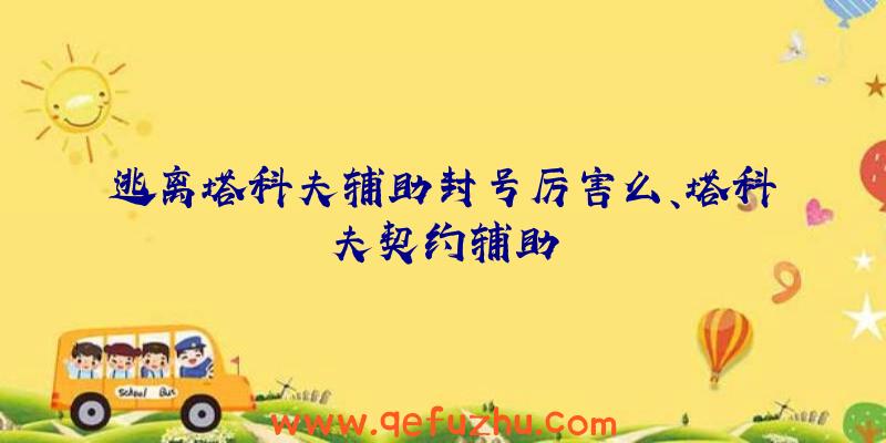 逃离塔科夫辅助封号厉害么、塔科夫契约辅助