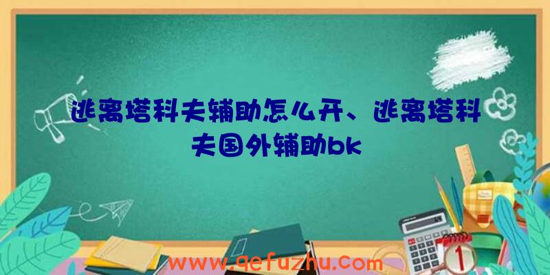 逃离塔科夫辅助怎么开、逃离塔科夫国外辅助bk