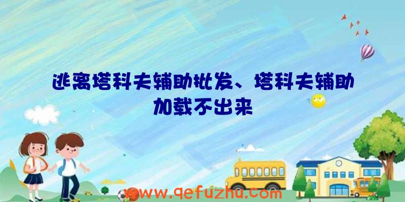 逃离塔科夫辅助批发、塔科夫辅助加载不出来