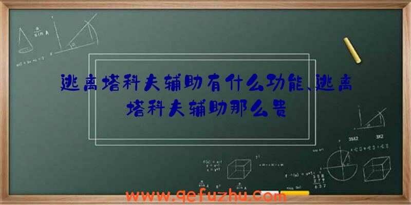 逃离塔科夫辅助有什么功能、逃离塔科夫辅助那么贵