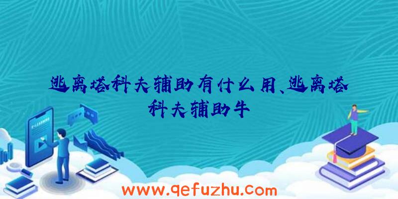 逃离塔科夫辅助有什么用、逃离塔科夫辅助牛