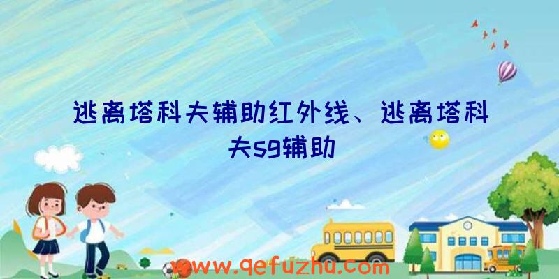 逃离塔科夫辅助红外线、逃离塔科夫sg辅助