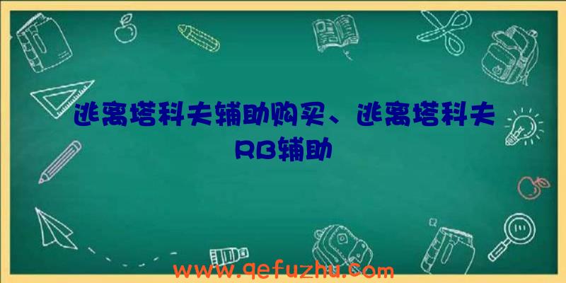 逃离塔科夫辅助购买、逃离塔科夫RB辅助