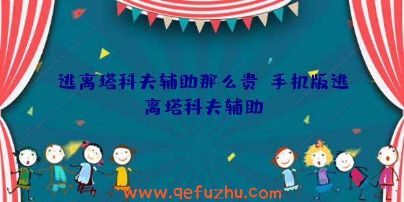 逃离塔科夫辅助那么贵、手机版逃离塔科夫辅助