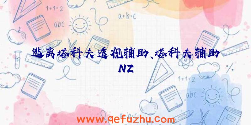 逃离塔科夫透视辅助、塔科夫辅助NZ