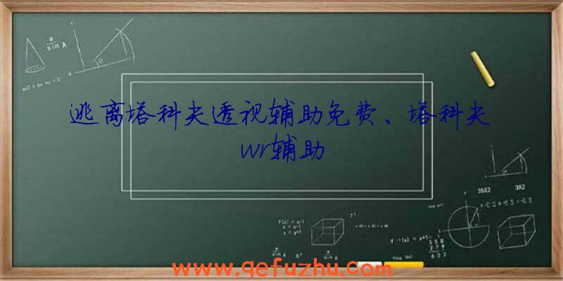 逃离塔科夫透视辅助免费、塔科夫wr辅助