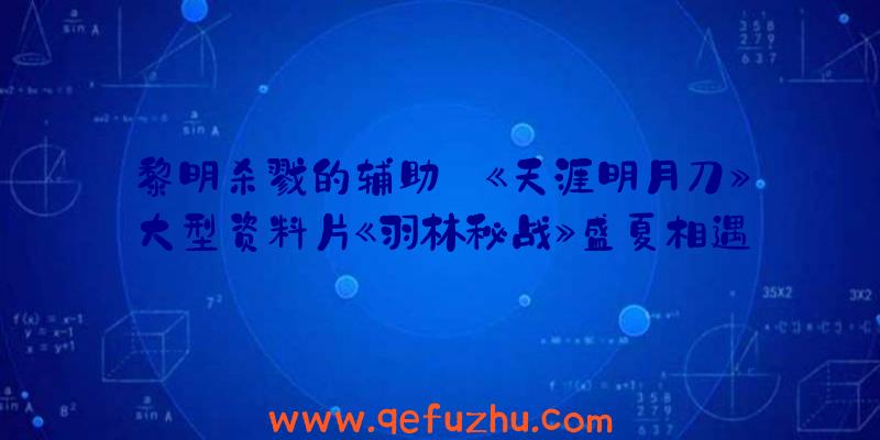 黎明杀戮的辅助:《天涯明月刀》大型资料片《羽林秘战》盛夏相遇