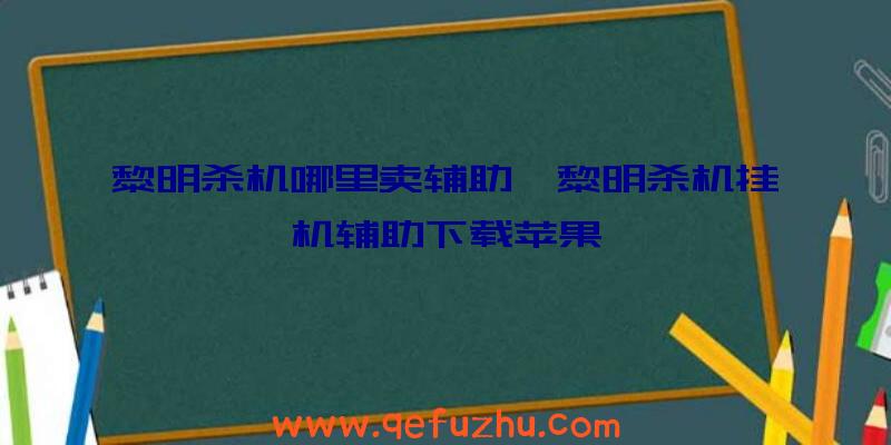 黎明杀机哪里卖辅助、黎明杀机挂机辅助下载苹果