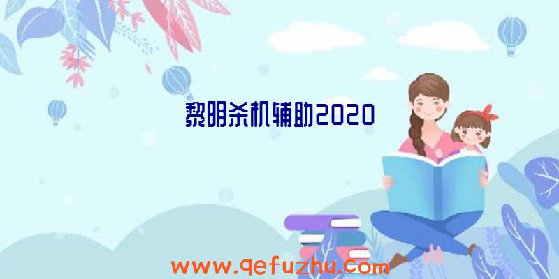 黎明杀机辅助2020