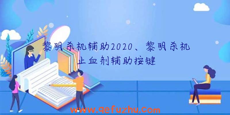 黎明杀机辅助2020、黎明杀机止血剂辅助按键