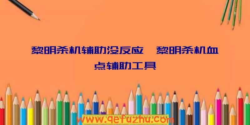 黎明杀机辅助没反应、黎明杀机血点辅助工具