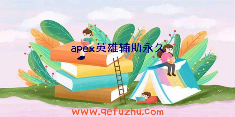 apex英雄辅助永久