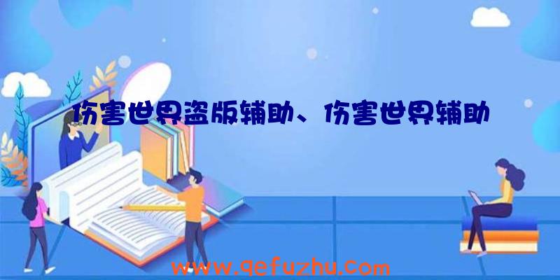 伤害世界盗版辅助、伤害世界辅助