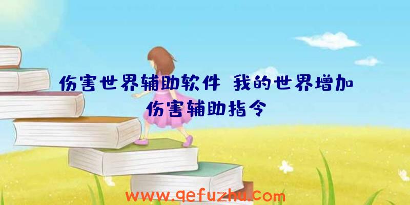 伤害世界辅助软件、我的世界增加伤害辅助指令